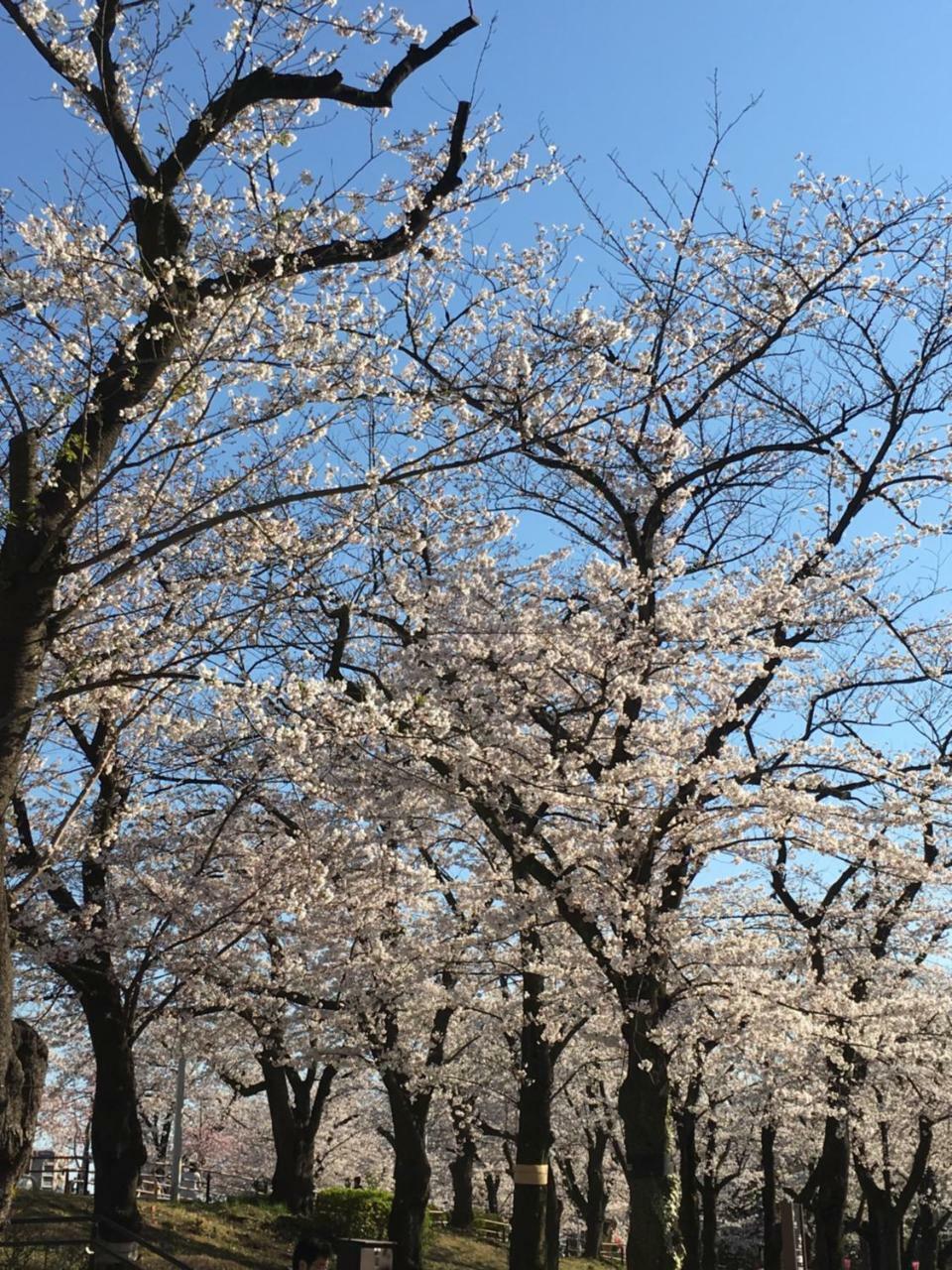 Ryokan Nakadaya Tokyo Bagian luar foto